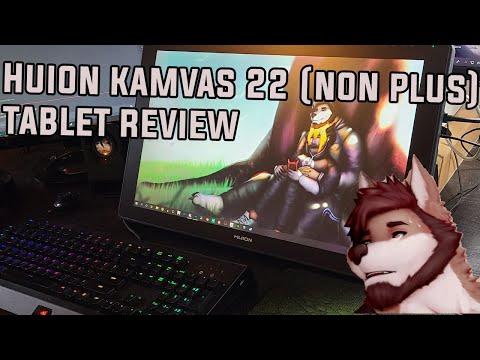 Grafinė planšetė Huion Kamvas 22 video
