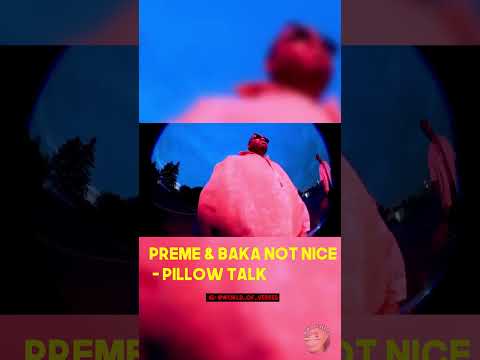 Preme feat. Baka Not Nice - Pillow Talk
