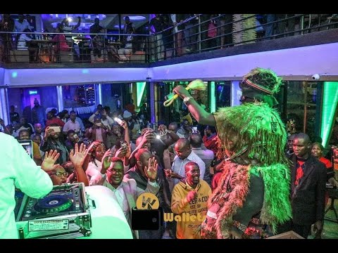 live performance by Mr Ongengo