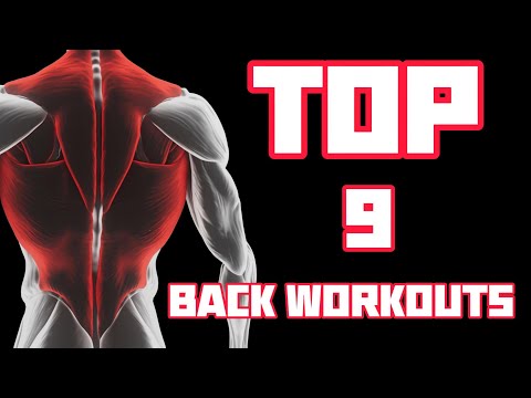Supgym Fitness -  Smith Machine back exercises: Workout routines to grow your lats and traps