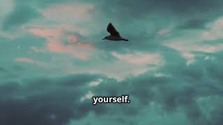 Finding Your Wings: Trusting  Again