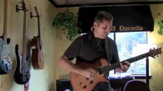 John Hussman Guitarist