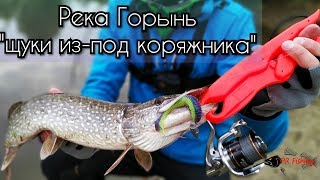 Ссылка