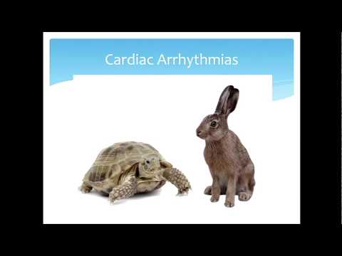 12DaysinMarch, Electrophysiology (Part III: Rhythm Disturbances) for the USMLE Step One Exam