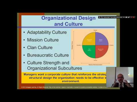 Organization Theory and Design Daft Chapter 1 Part 1 Introduction