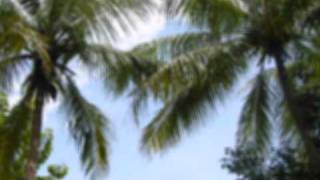 Treasure Island by Charles Bryant