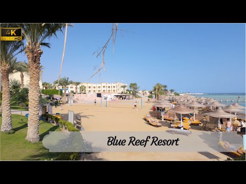 [4K] Blue Reef Resort – Marsa Alam, Egypt (review)