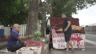 Download lagu Bassi toayya belli lanksat kacci mp3