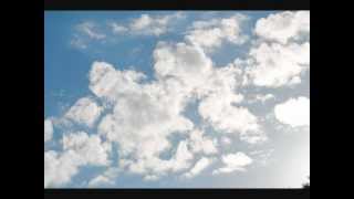 Human Nature  House Of Cards