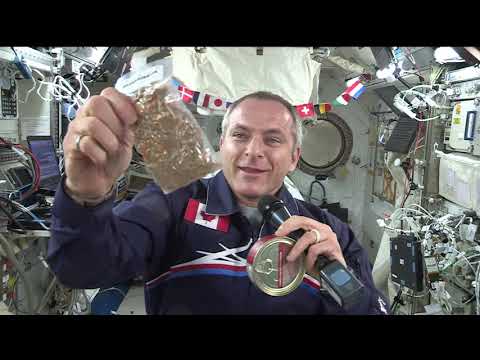 Expedition 59 CSA In-flight with Umiujaq Northern Quebec May 31, 2019