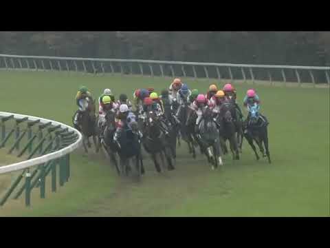 2022.11.13 Queen Elizabeth II Cup (JPN) - Geraldina