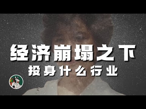 Thumbnail for 创业工作应该选择什么行业？日本经济的启发！