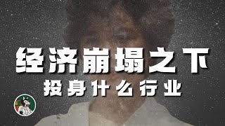 Thumbnail for 创业工作应该选择什么行业?日本经济的启发!