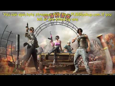 PUBG AI bots in regular matches?