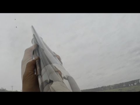 Pheasant Shooting Powis Castle 23rd Jan 2016