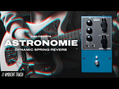 Fish Circuits - Astronomie Dynamic Reverb // Full Demo