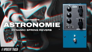 Video thumbnail for Fish Circuits - Astronomie Dynamic Reverb // Full Demo by ambienttrash