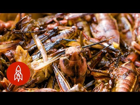 What’s Baseball Without a Side of Grasshoppers?