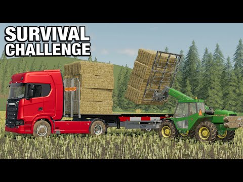 LOADING THE BIG BALE TRAILER - Survival Challenge No Mans Land FS19 Ep 115