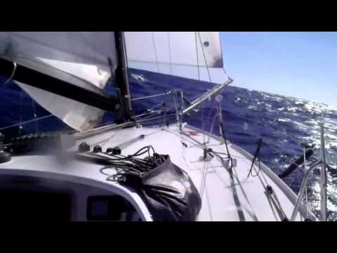 More Pacific Cup 2010