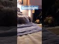 Goodnight