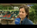 GLD Nieuws 31 mei 2012 - Nieuws