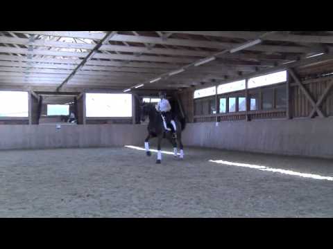 6j. W  168cm Bellisimo M-Sandro Hit