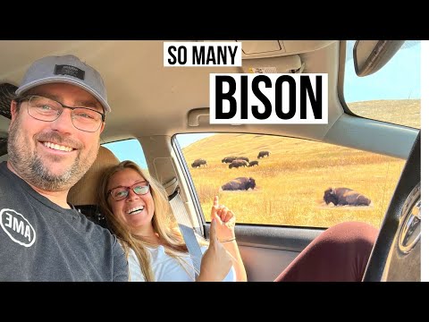 LIVING in our CAR | Bison Refuge | Missoula MONTANA | Southwest FLIGHT