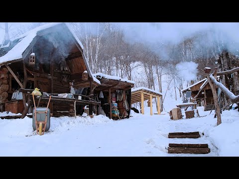 It's about 50 degrees below zero. I'm in the Taiga for two weeks. We're cooking wild meat, workin...