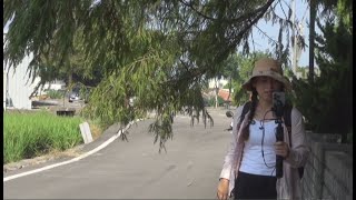 十送紅軍 江西省省歌 九江妹をために 片長16分18秒/1020 2025 雨