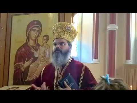 PS IGNATIE despre MAICA DOMNULUI în tabăra de la Dăbâca (2014): A TRĂI VIAȚA CELORLALȚI