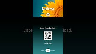 Sunflower - Sakura Girl | @RFM_NCM | #Shorts #Music #YouTubeMusic #YouTubeShorts #YTShorts