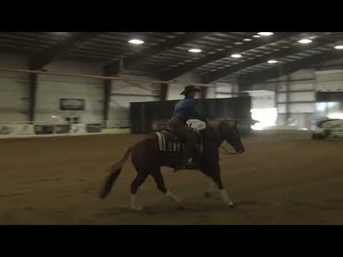 220529  Novice Horse Open Meri Sheffler Marsh on This Chic Will Shine