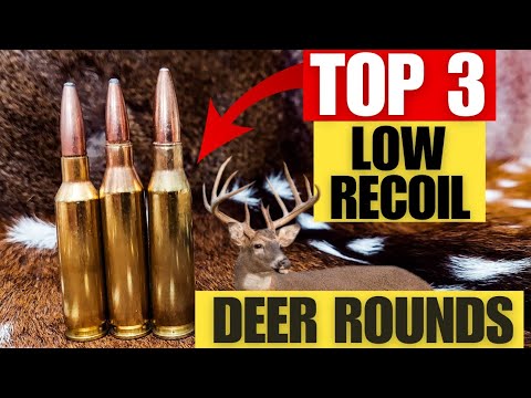 Top 3 Light Recoiling Cartridges for Deer [Including My Hunting Footage With All 3]