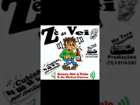 O MEU CORPO TA MEXENDO SOZINHO - ZE DA VEA - CD VOL 1