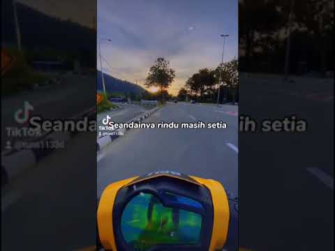 #shima #kepangkuanmu