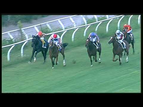 Galoppo 29/08/2020 - 3ª corsa