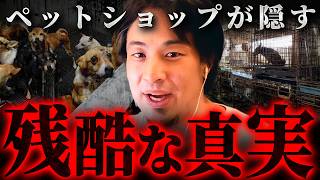 ※業界の裏側※ペットショップで売れ残った犬猫はこうして処分されます【 切り抜き 思考 論破 kirinuki hiroyuki 】