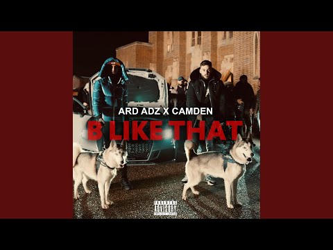 B Like That (feat. Ard Adz)