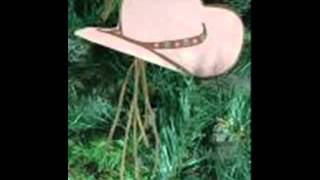 So You Think Your A Cowboy. Emmylou Harris & Willie Nelson