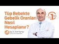 Tüp Bebekte Gebelik Oranları Nasıl Hesaplanır?