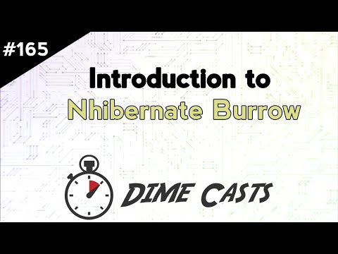 Introduction to Nhibernate Burrow