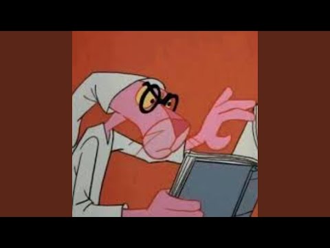 we was gon go to france