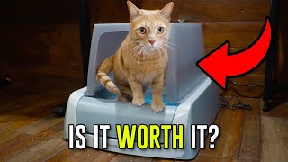 What To Expect With The PetSafe ScoopFree Self-Cleaning Cat 