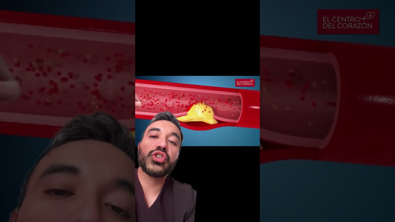 Javier Enrique Cervantes Salazar-13