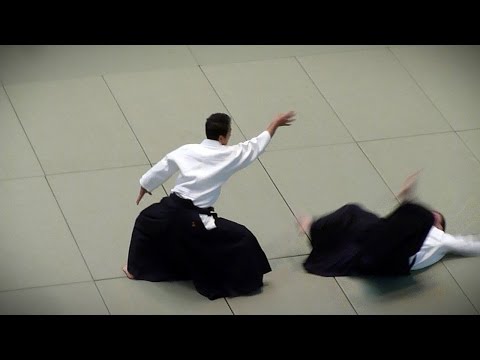 Aikido - Yasuno Masatoshi Shihan - 51st All Japan Aikido Demonstration 2013
