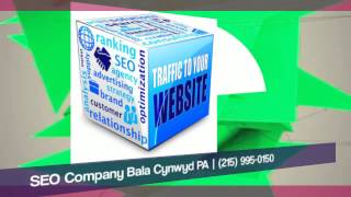 preview picture of video 'SEO Company Bala Cynwyd PA - Contact Our SEO Company at (215) 995-0150'