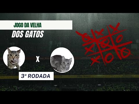 jogo da velha dos gatos - 3⁰ round com os gatos malhados