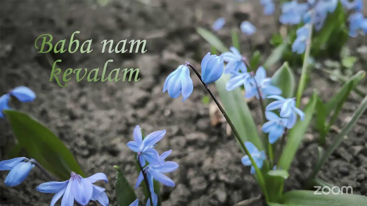 Akhanda Kiirtan of Peace