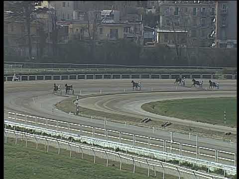 Trotto 24/02/2019 - prova di qualifica